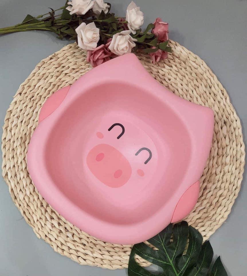 Chậu rửa mặt lợn