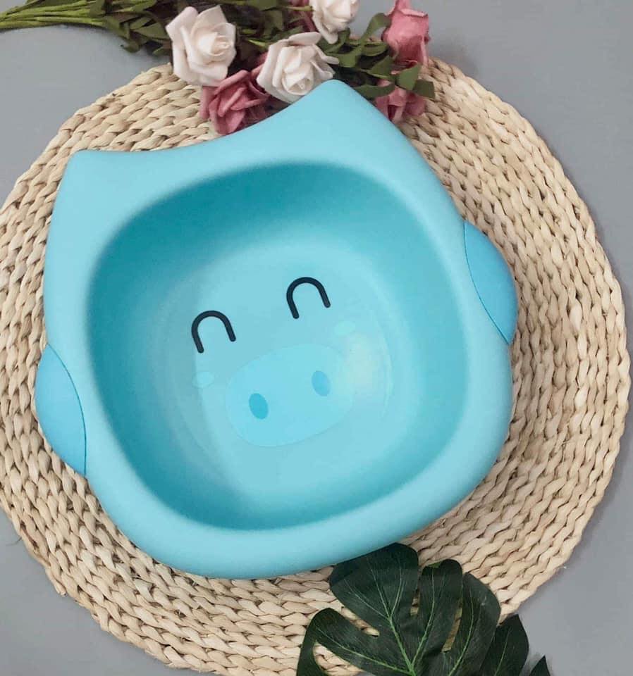 Chậu rửa mặt lợn