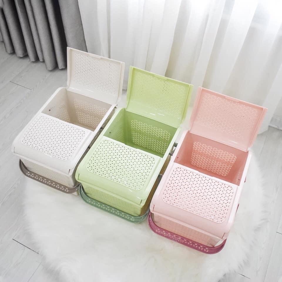 Làn nhựa đi sinh