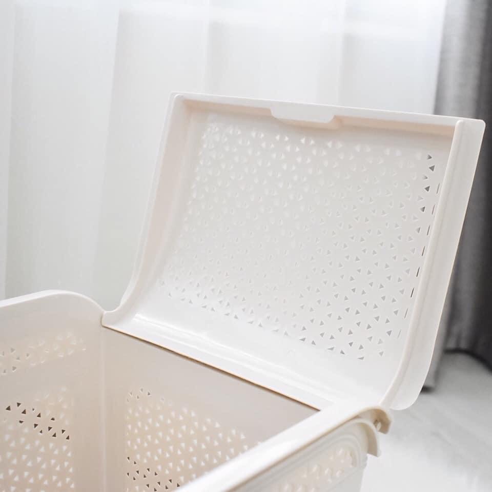 Làn nhựa đi sinh