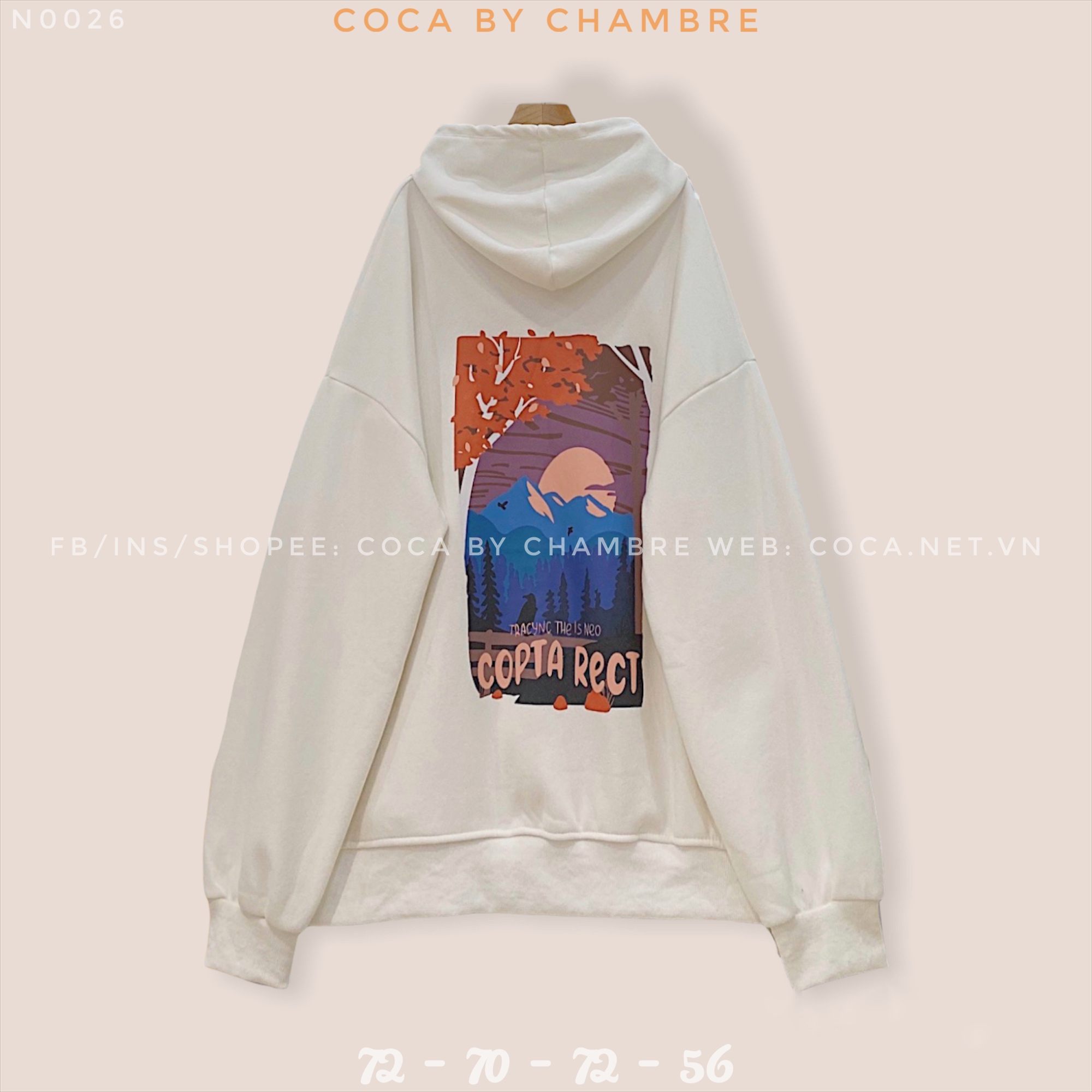 Áo HOODIE nỉ lót lông LIDE IN THE form rộng unisex