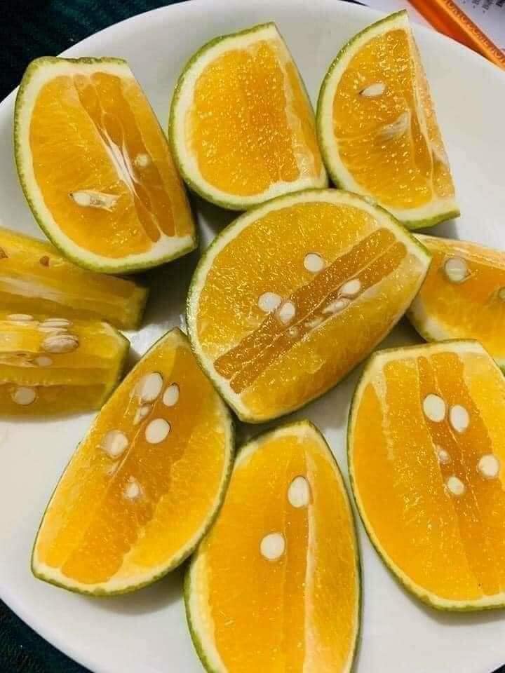 Cam Vinh_thumbnail_2