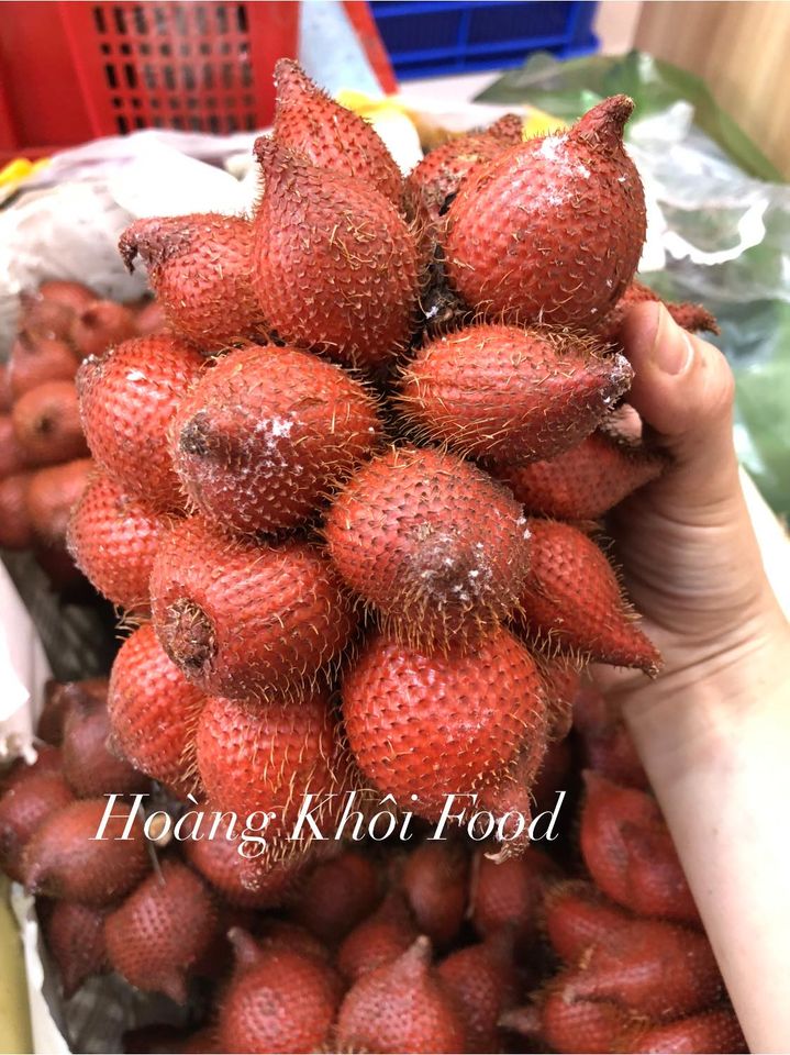 Mây Thái Lan_thumbnail_5