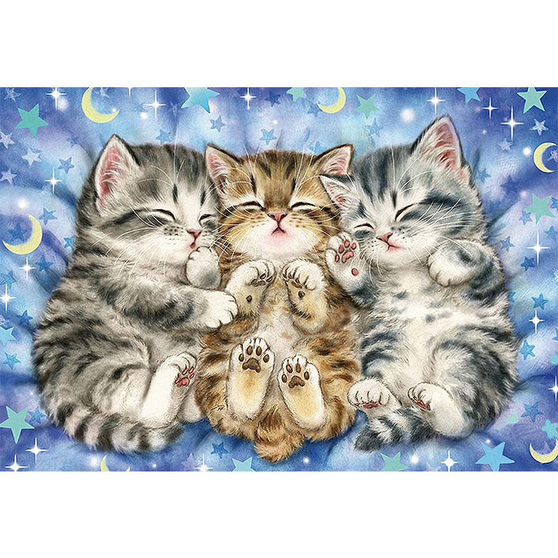 แมว3พี่น้อง