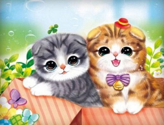แมวสก๊อตติส