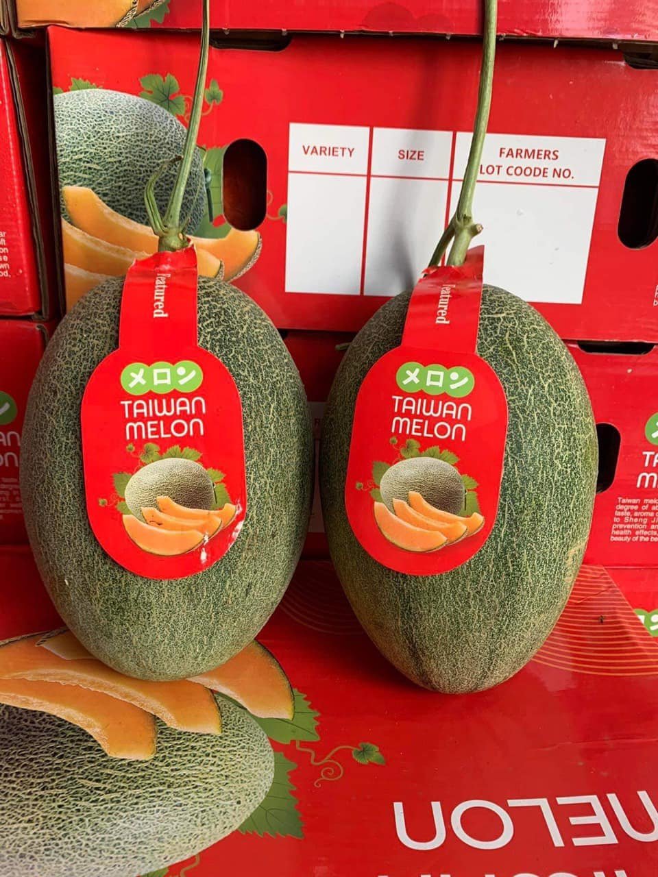 Dưa Lưới Mật Taiwan Melon đỏ