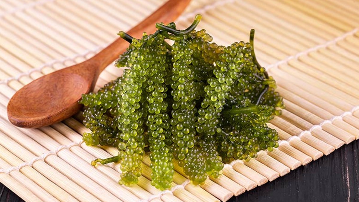 Rong Nho Tươi