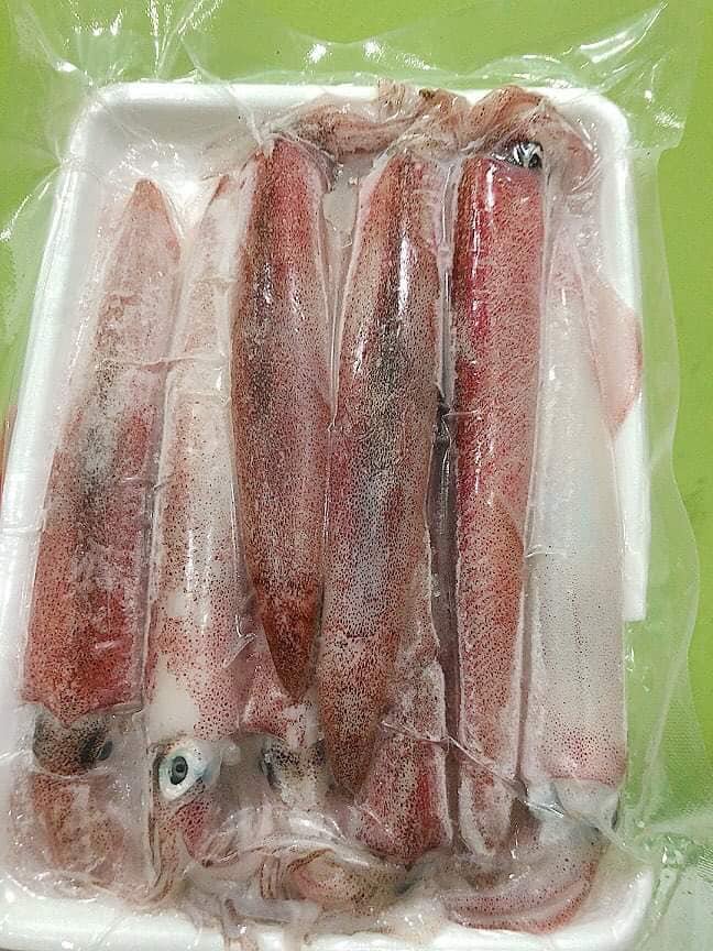Mực Ống Ghim