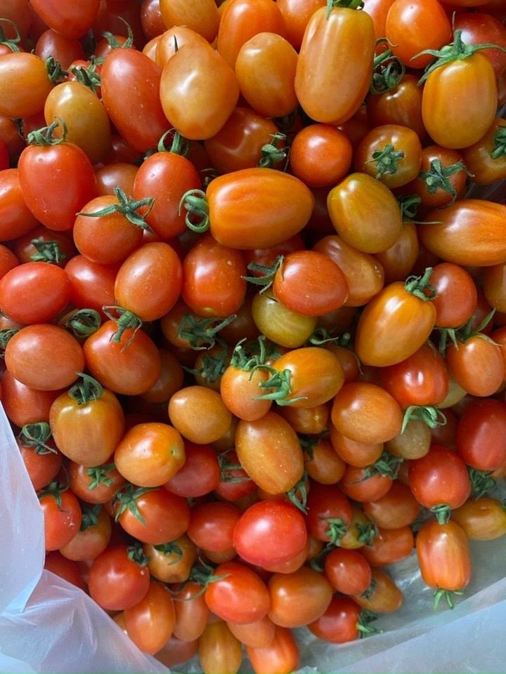 Cà Chua Cherry (2 loại)