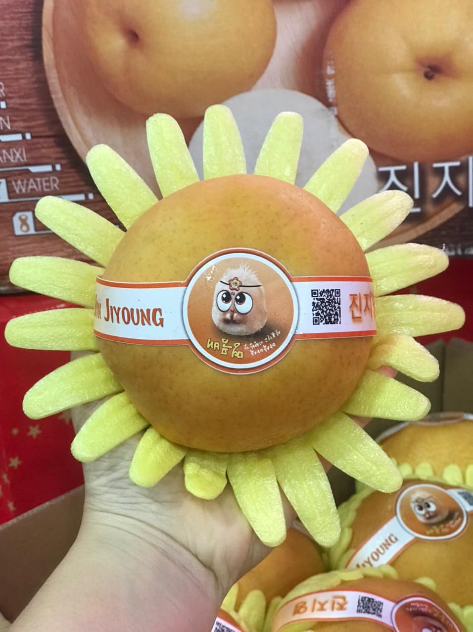 Lê Hàn Quốc Nâu