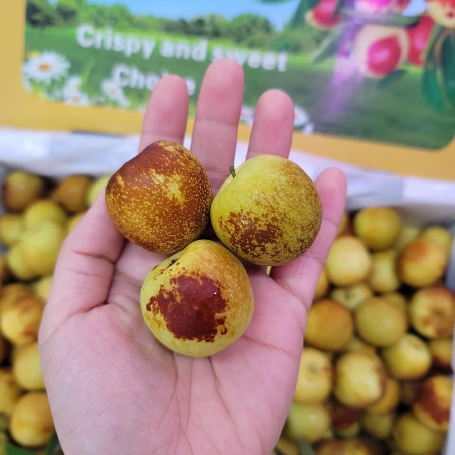 Hồng Táo Sữa Bò_thumbnail_4