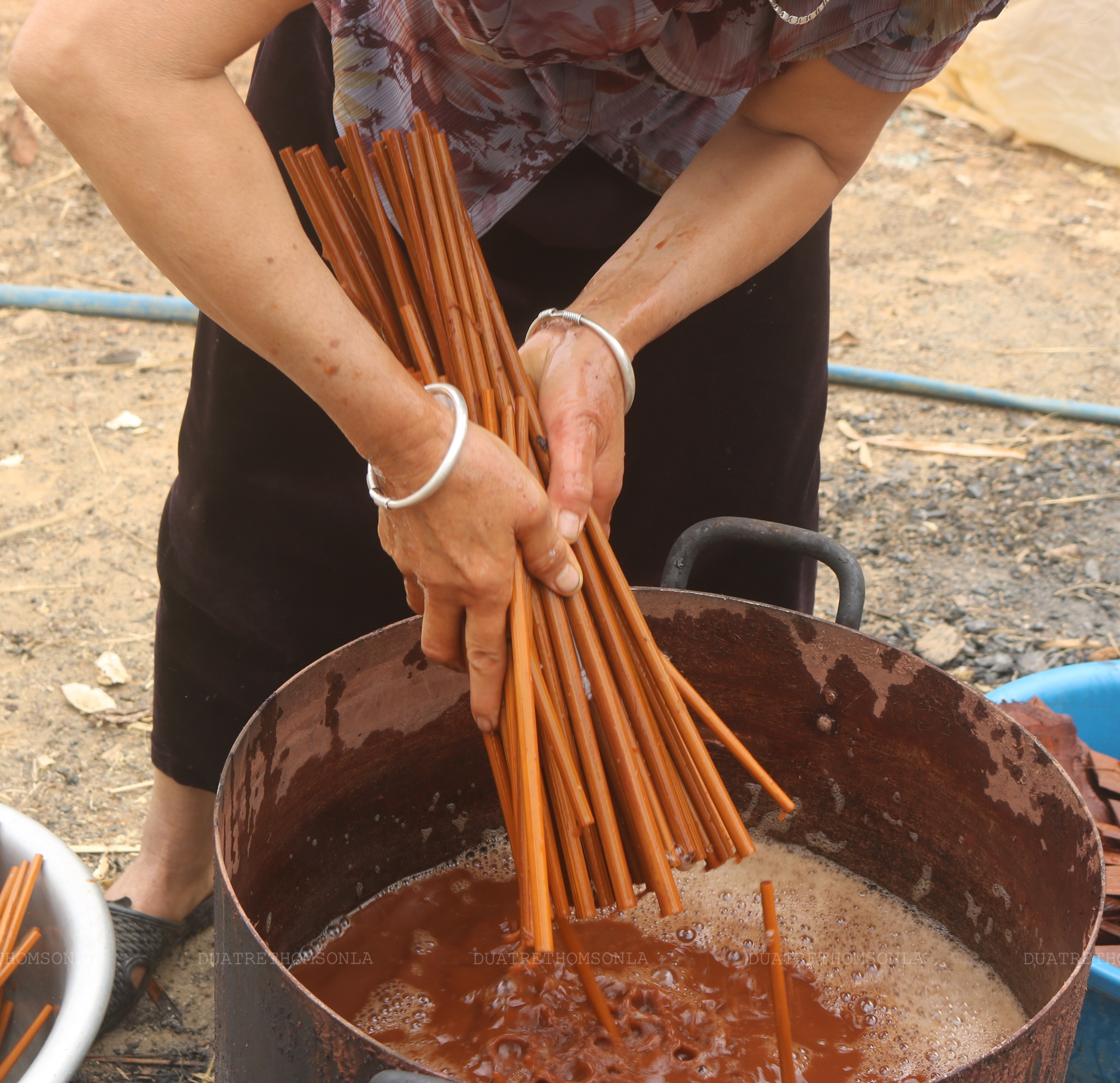 Lá cây rừng tạo màu
