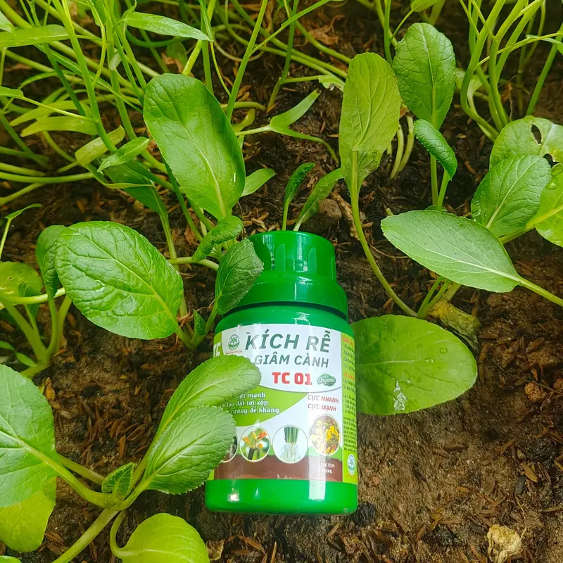 1 lọ