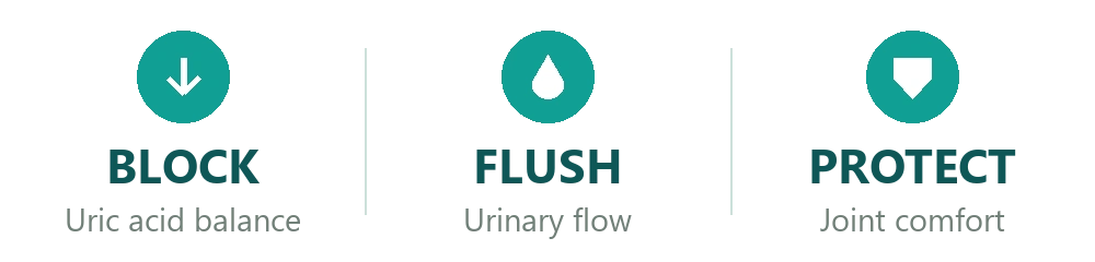 Block - uric acid balance, Flush - urinary flow, Protect - joint comfort