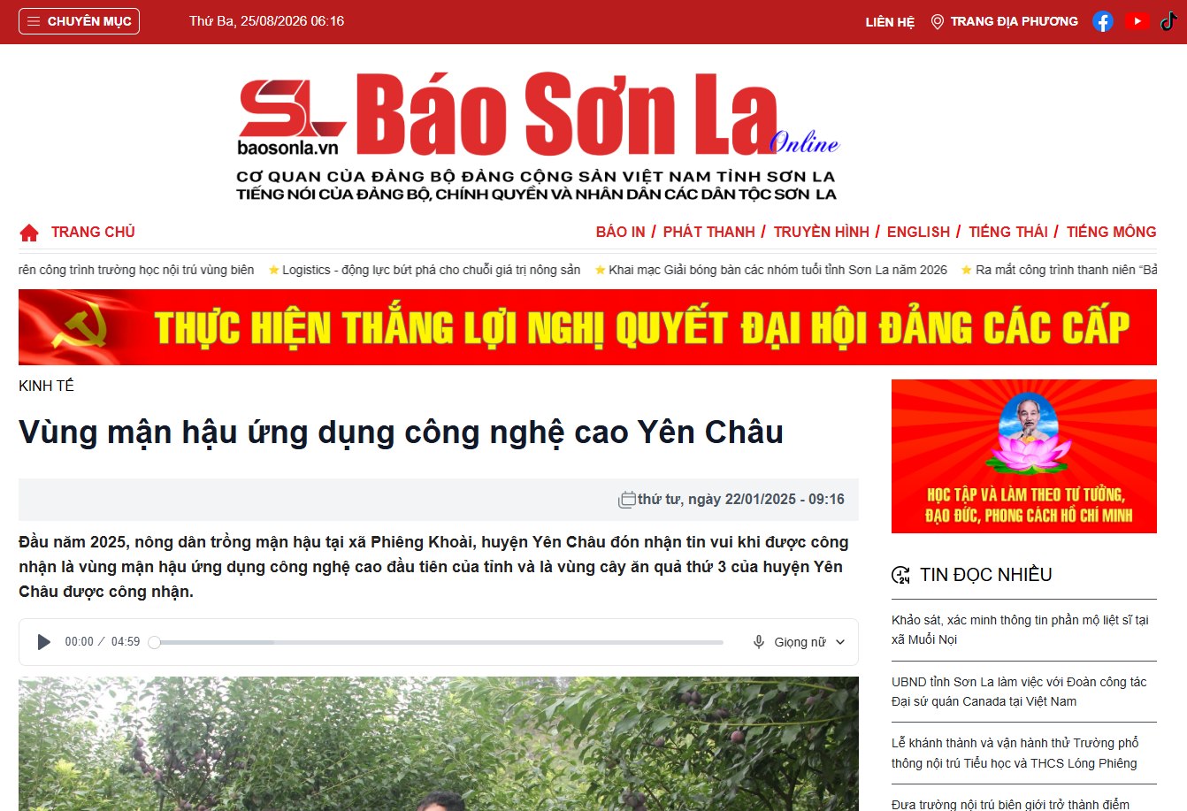 Cây mận hậu