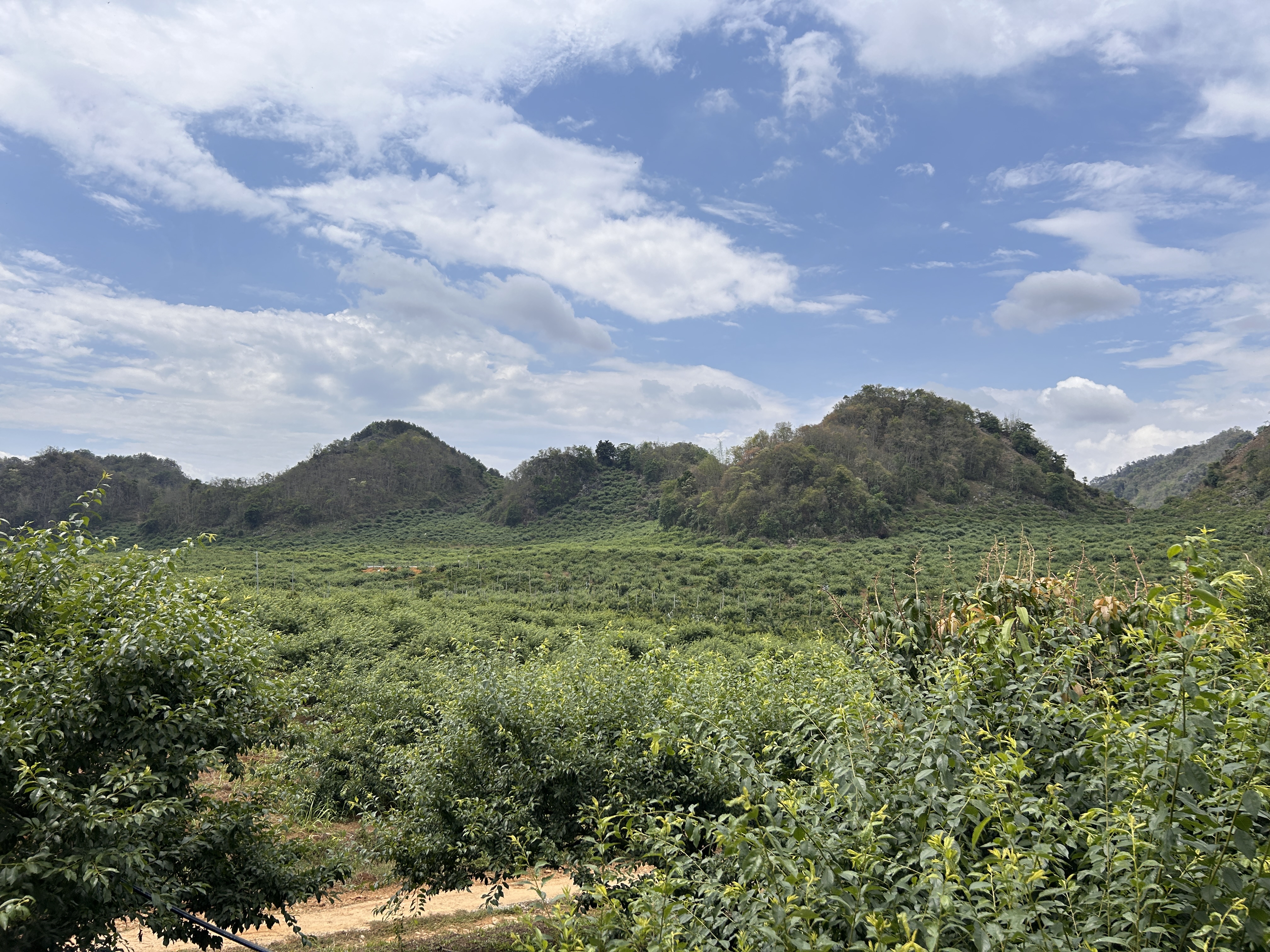 Phiêng Khoài Sơn La