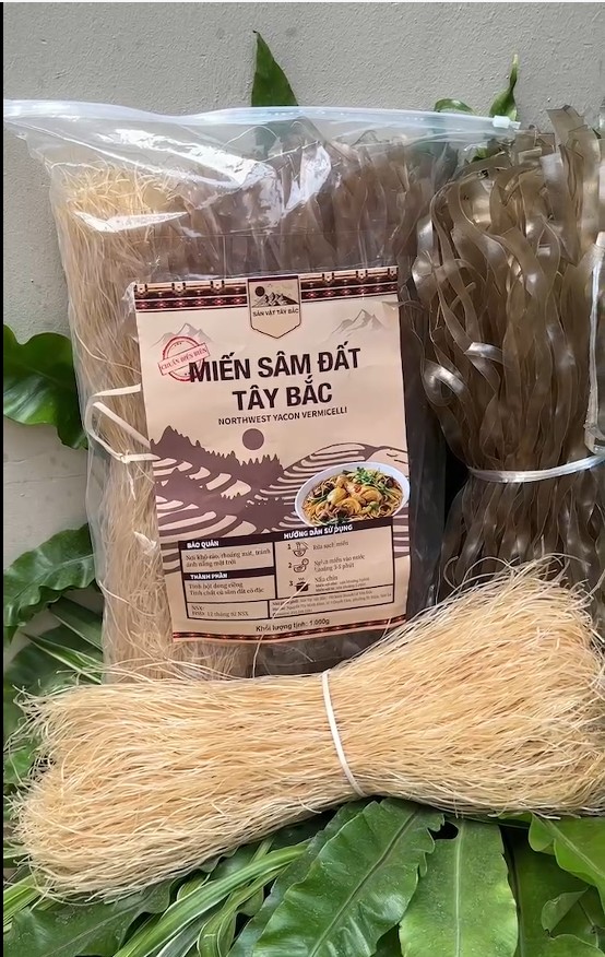 Miến sâm đất