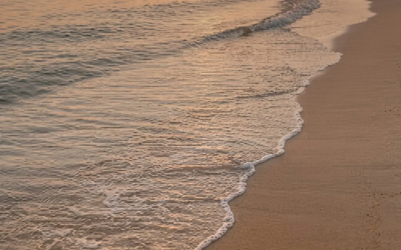Orilla del mar en calma, atardecer