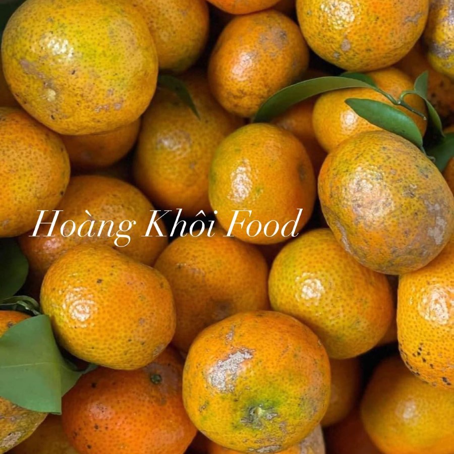 Quýt Mường Cơi (Sơn La)