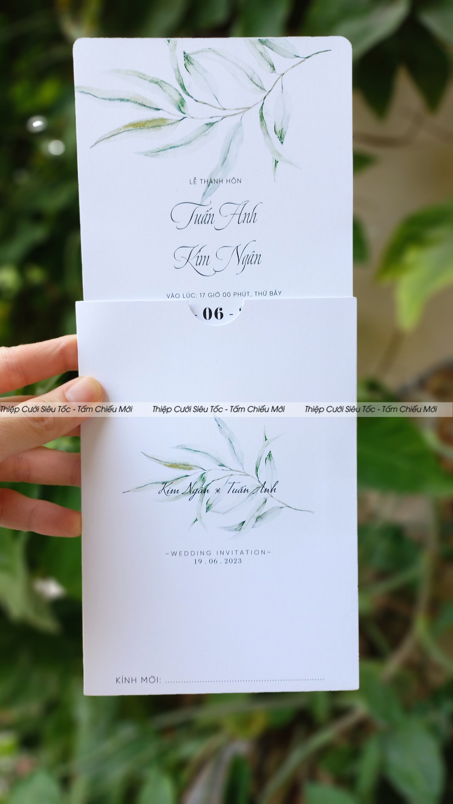 Thiệp phong bì Creamy VHCCB094