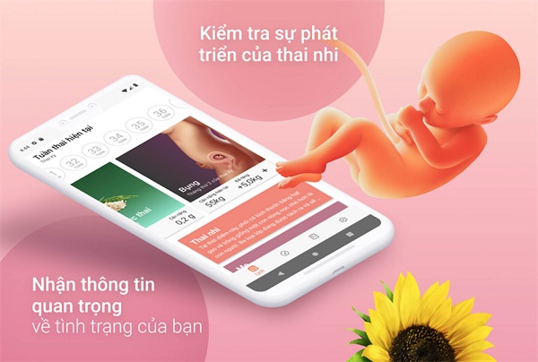 Theo dõi thai kỳ của bạn theo tuần