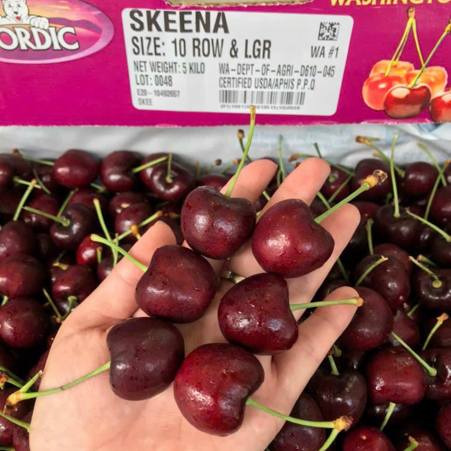 Cherry Mỹ (Skeena)