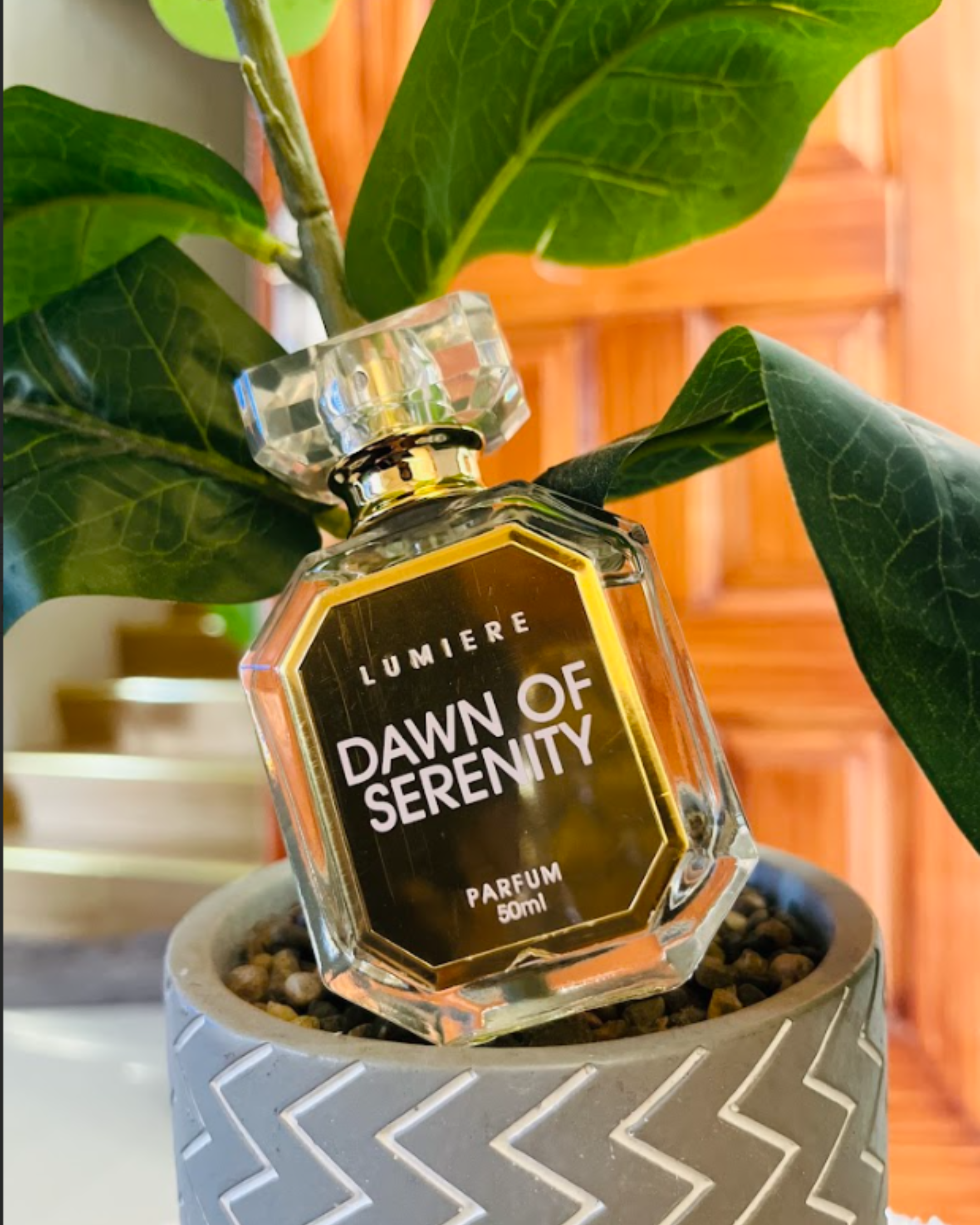The Lumiere Perfume