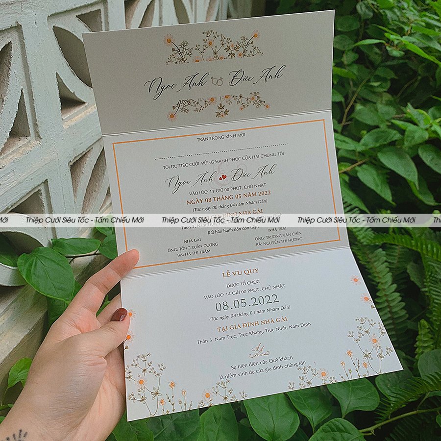 Thiệp  gập đai giấy Creamy TCM001