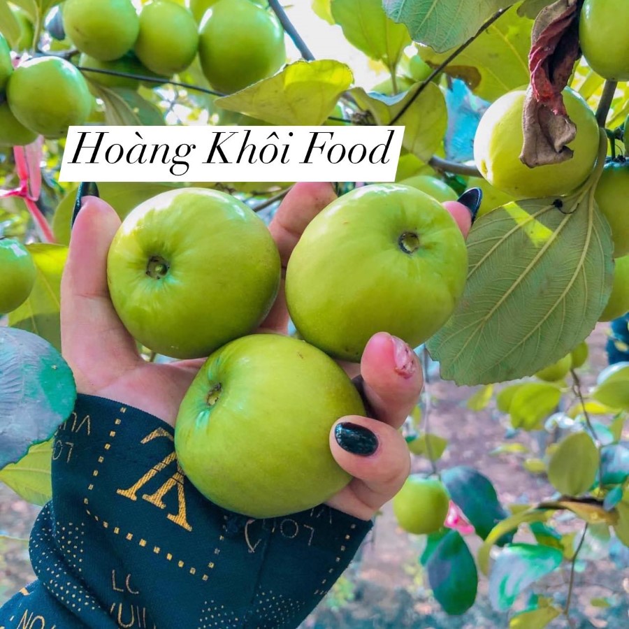 Táo Gió Cồ Ninh Thuận