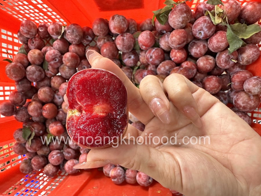 Mận Hậu Mộc Châu