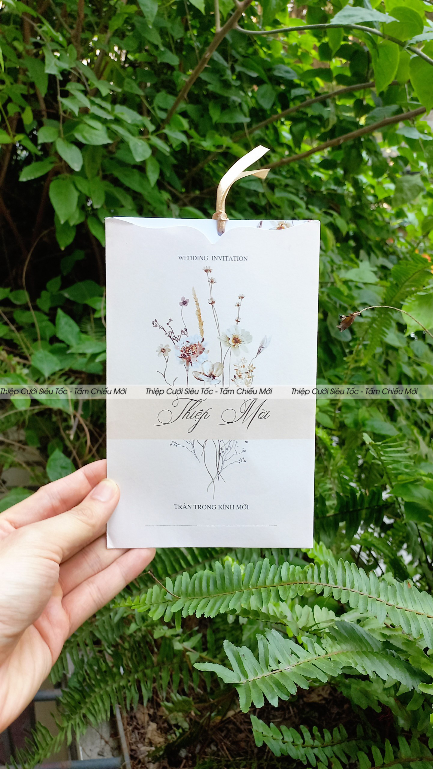 Thiệp phong bì rút TN20