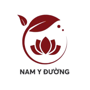 Nam Y Đường