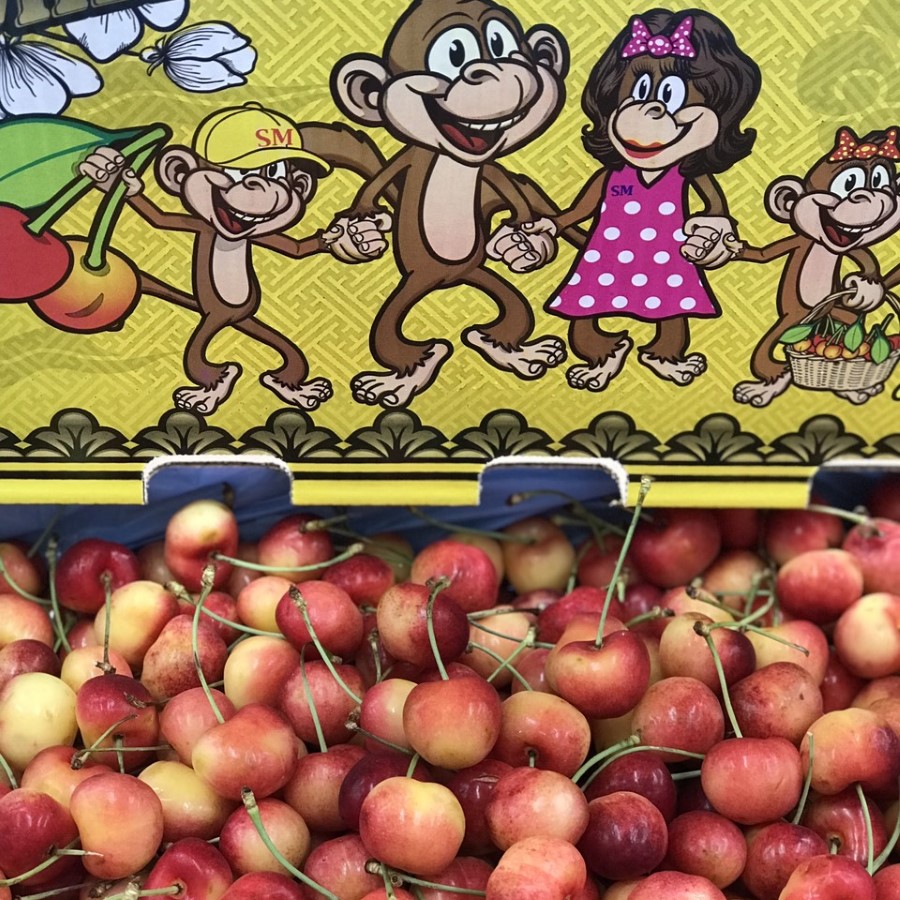 Cherry Vàng (Monkey)