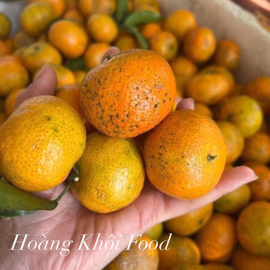 Quýt Mường Cơi (Sơn La)