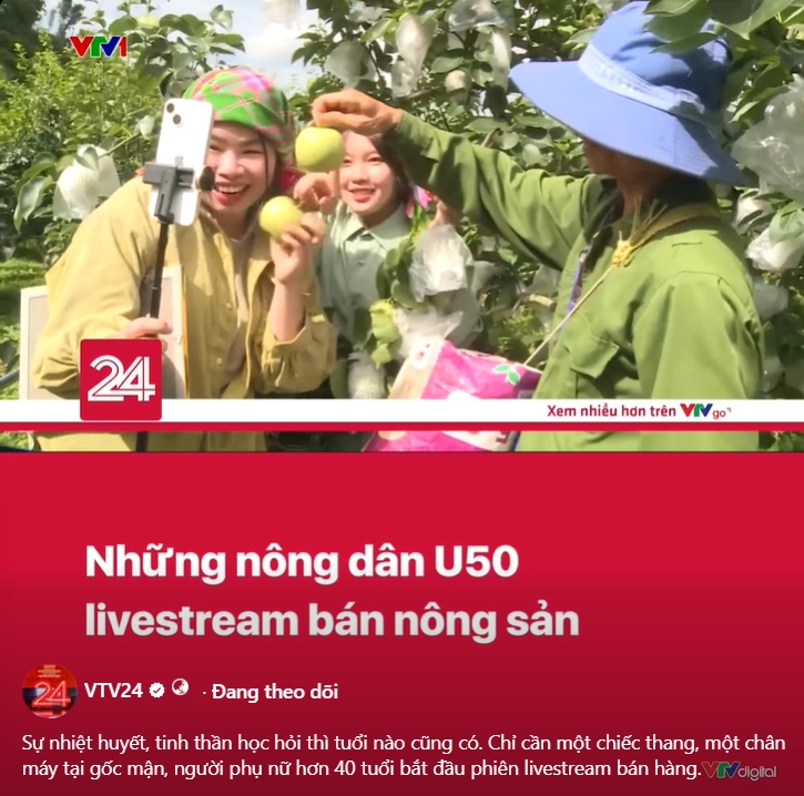 VTV24
