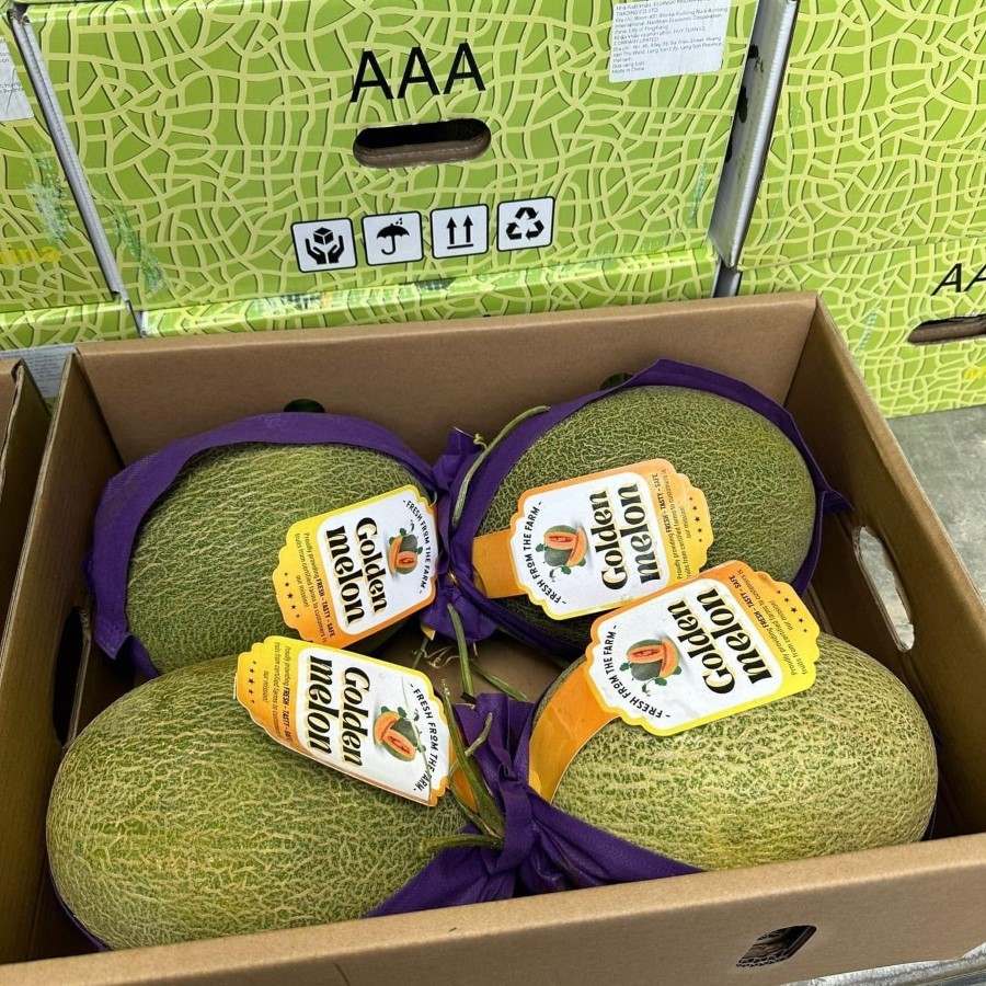 Dưa Lưới Đài Loan (Golden Melon)