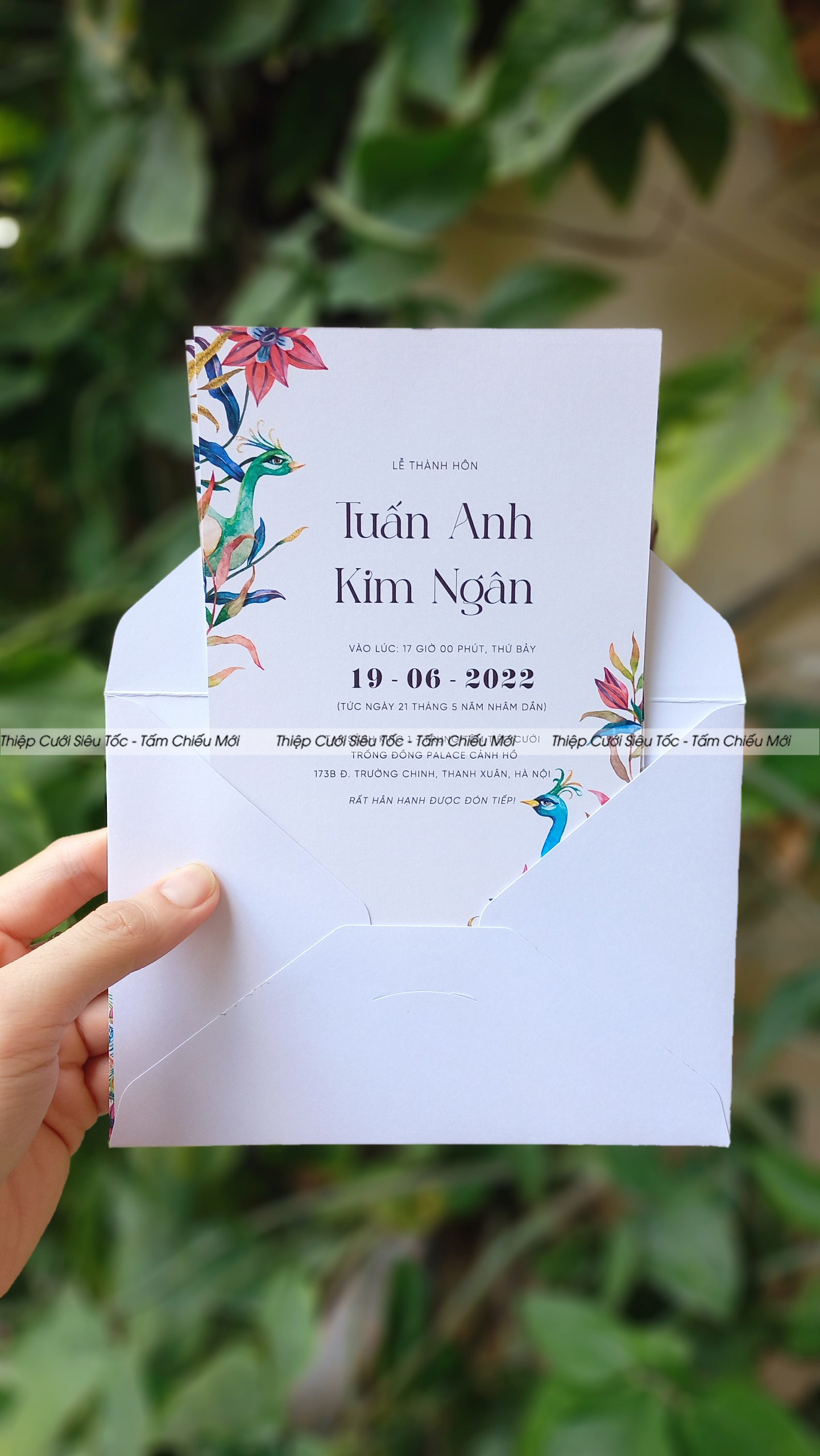 Thiệp phong bì Creamy VHCCB082_thumbnail_2