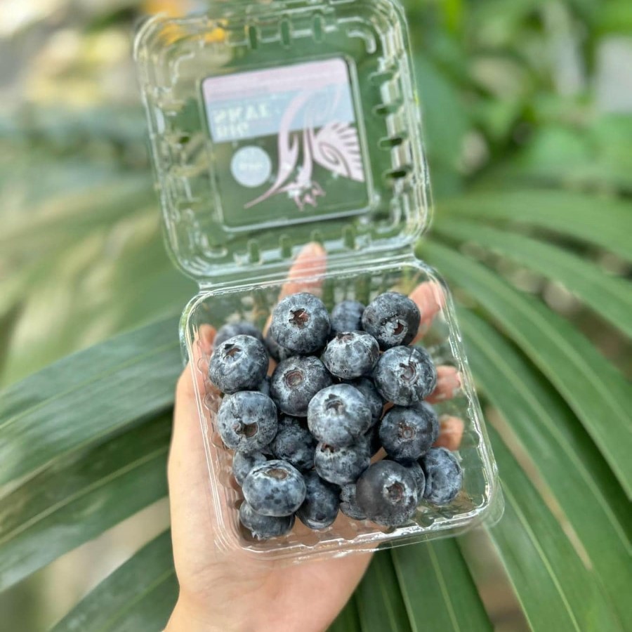 Việt Quất Peru Size Jumbo (Big Skye)