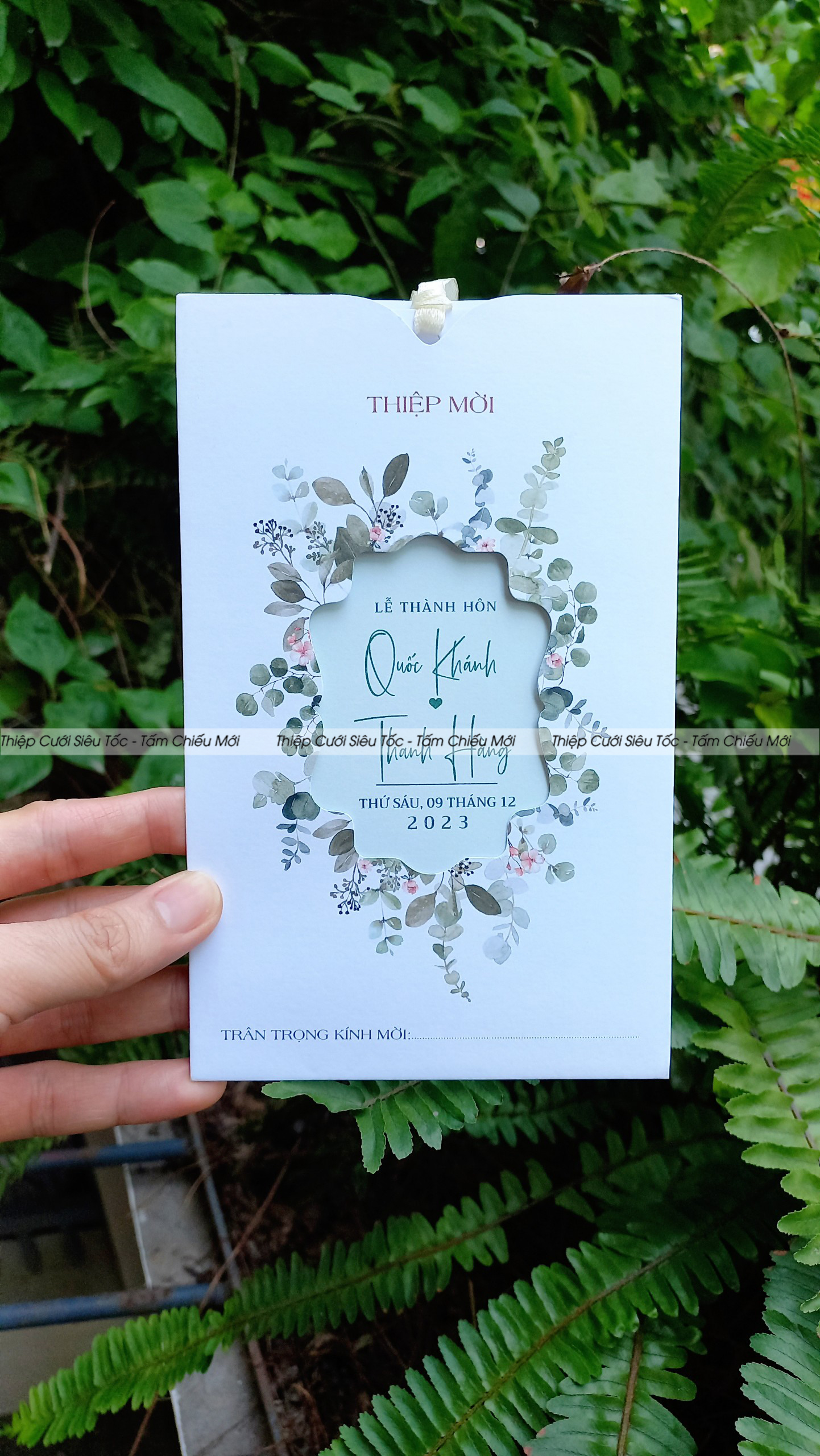 Thiệp phong bì rút TN10