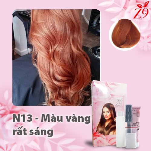 MÀU NHUỘM PHỦ BẠC THỜI TRANG Thuốc nhuộm tóc Phủ Bạc màu thời trang cao cấp   Shopee Việt Nam