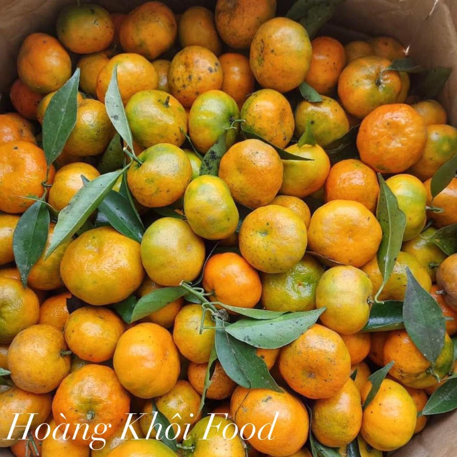 Quýt Mường Cơi (Sơn La)