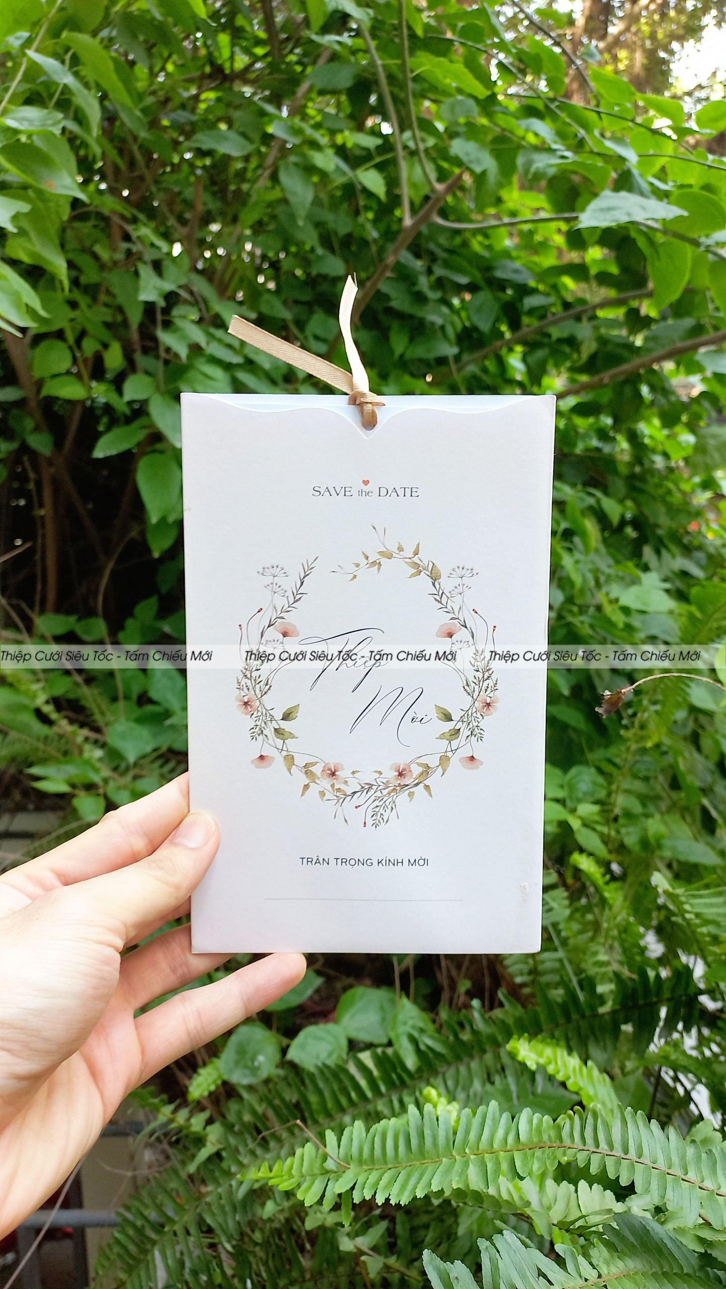 Thiệp phong bì rút TN19