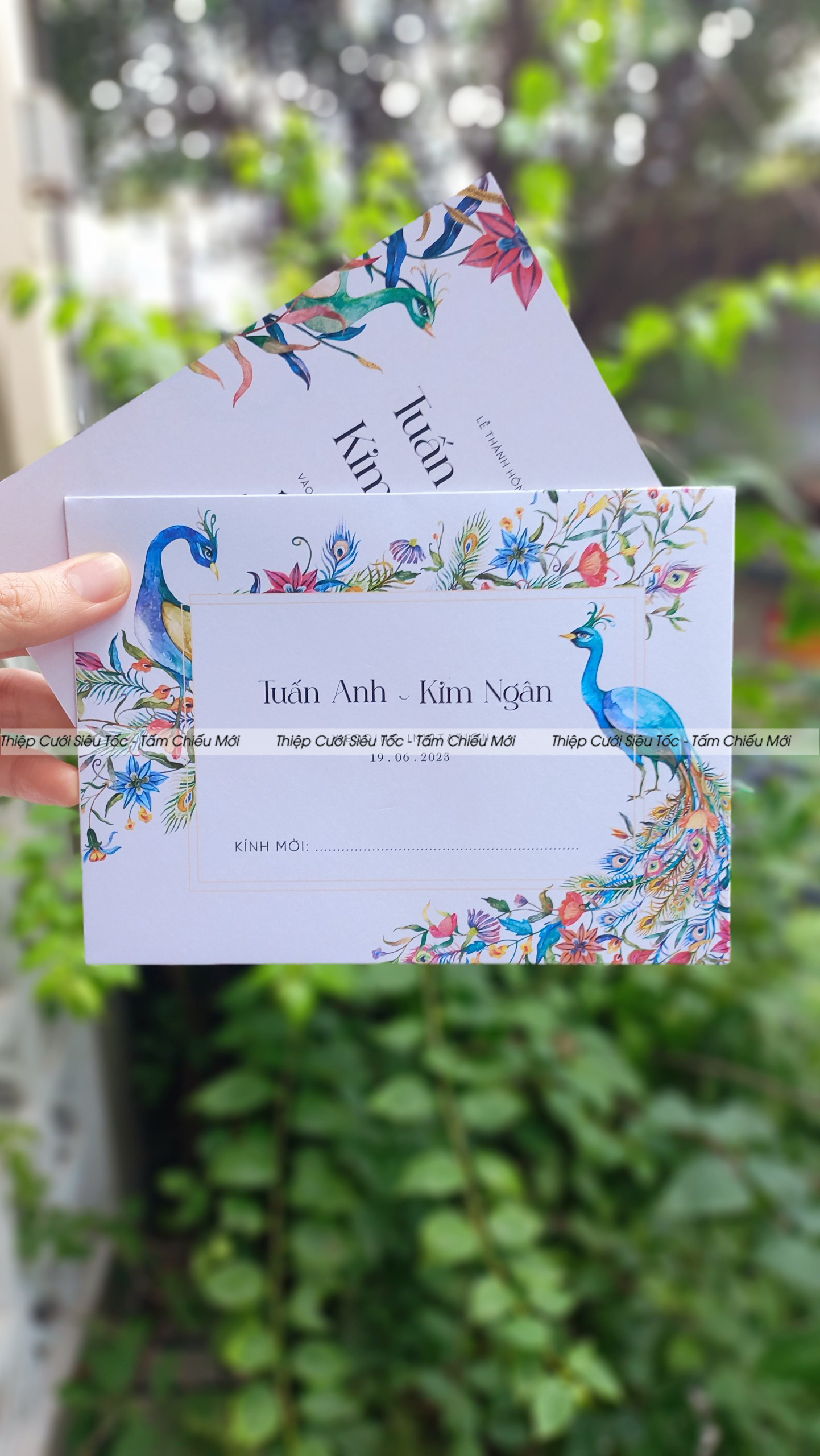 Thiệp phong bì Creamy VHCCB082