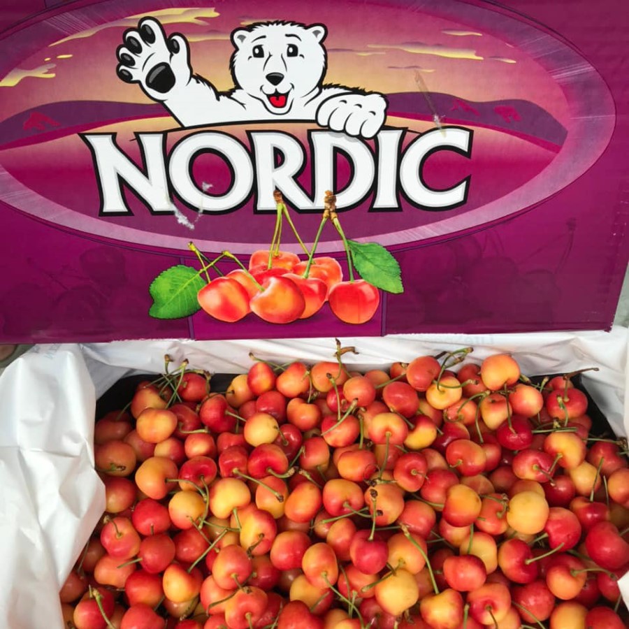 Cherry Vàng (Nordic)