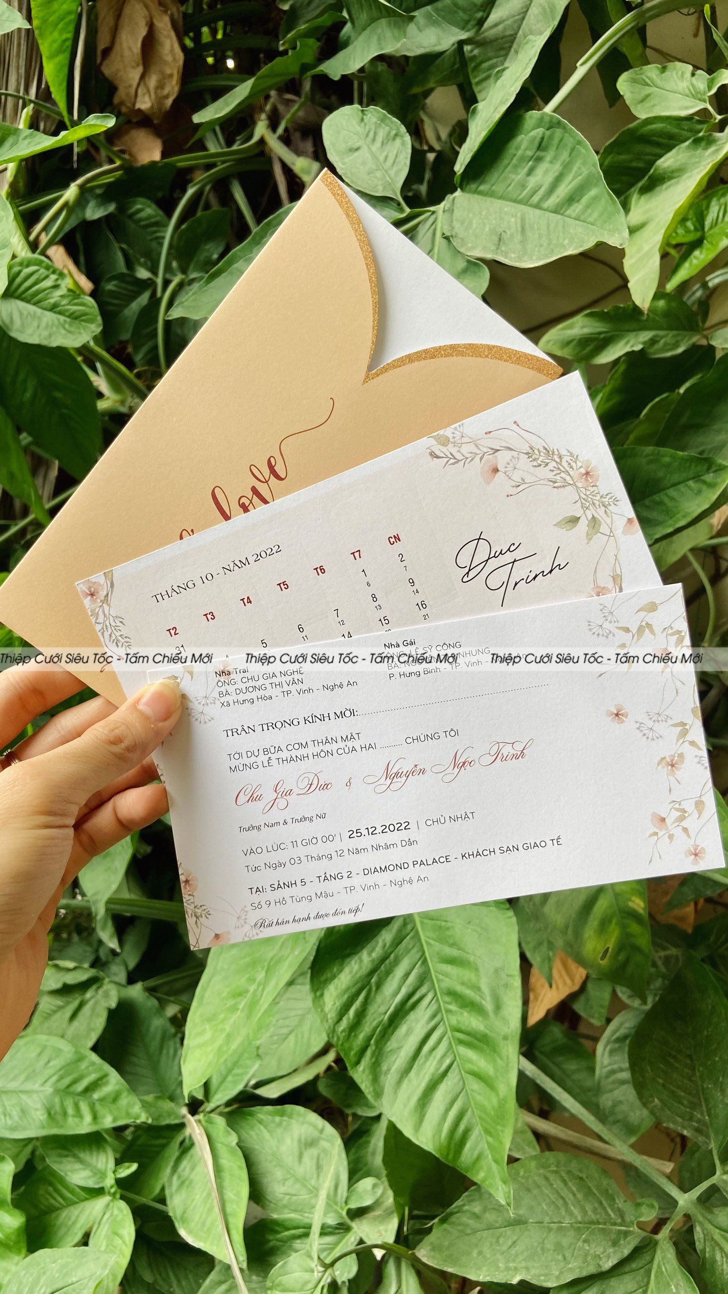 Thiệp phong bì rút TPF-18