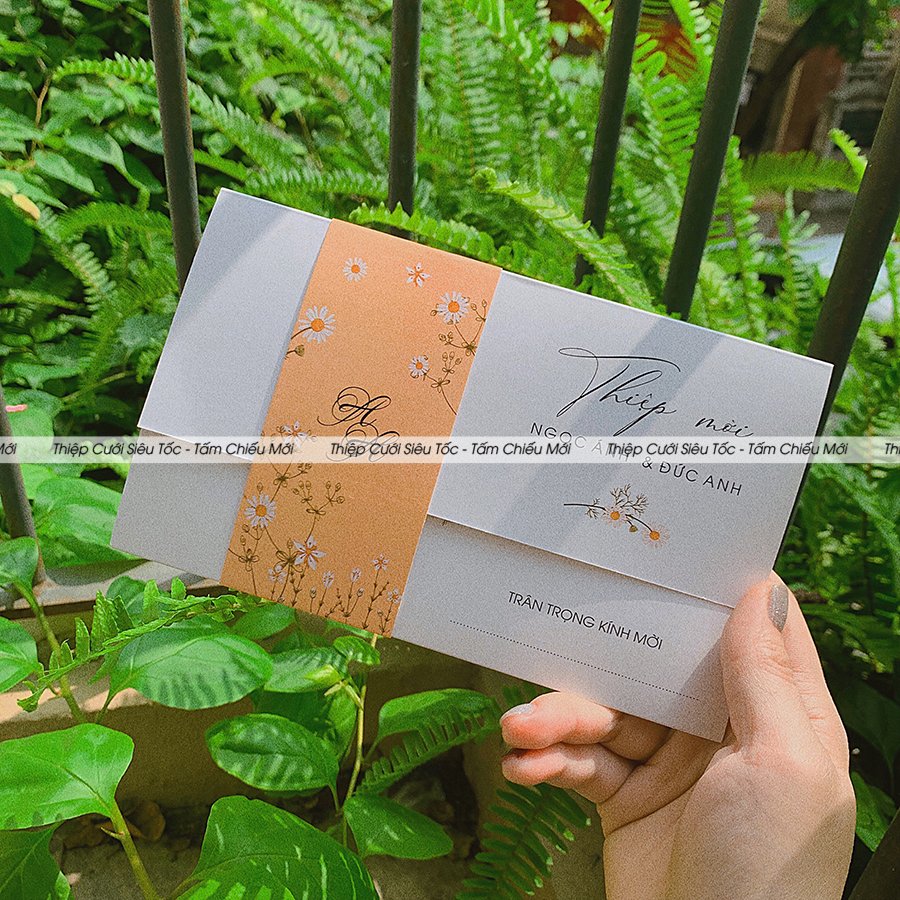 Thiệp  gập đai giấy Creamy TCM001_thumbnail_4