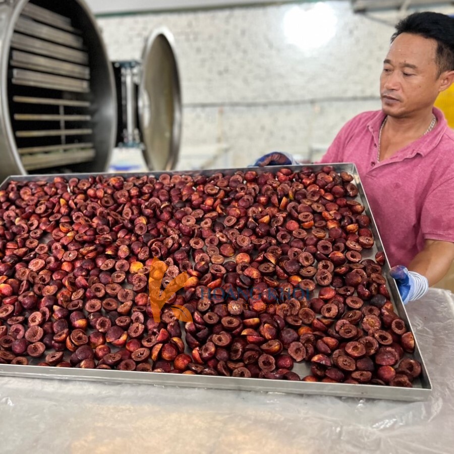 Mận Hậu Sấy Thăng Hoa