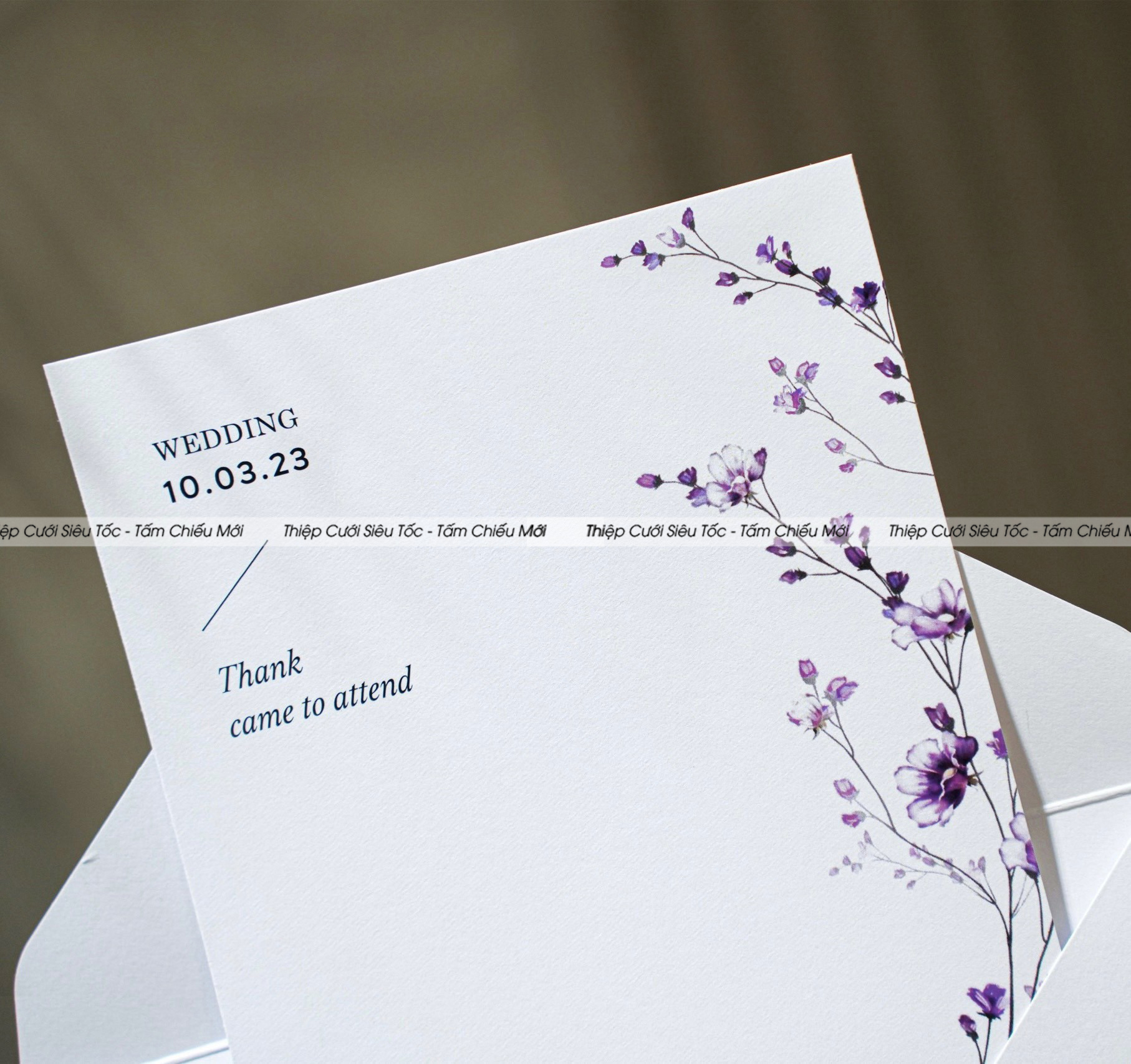 Thiệp phong bì Creamy VHCCB062_thumbnail_1